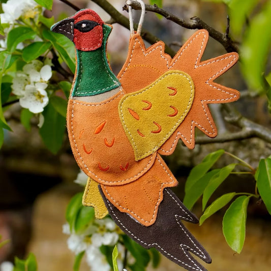 Bracken the Pheasant Eco Dog Toy
