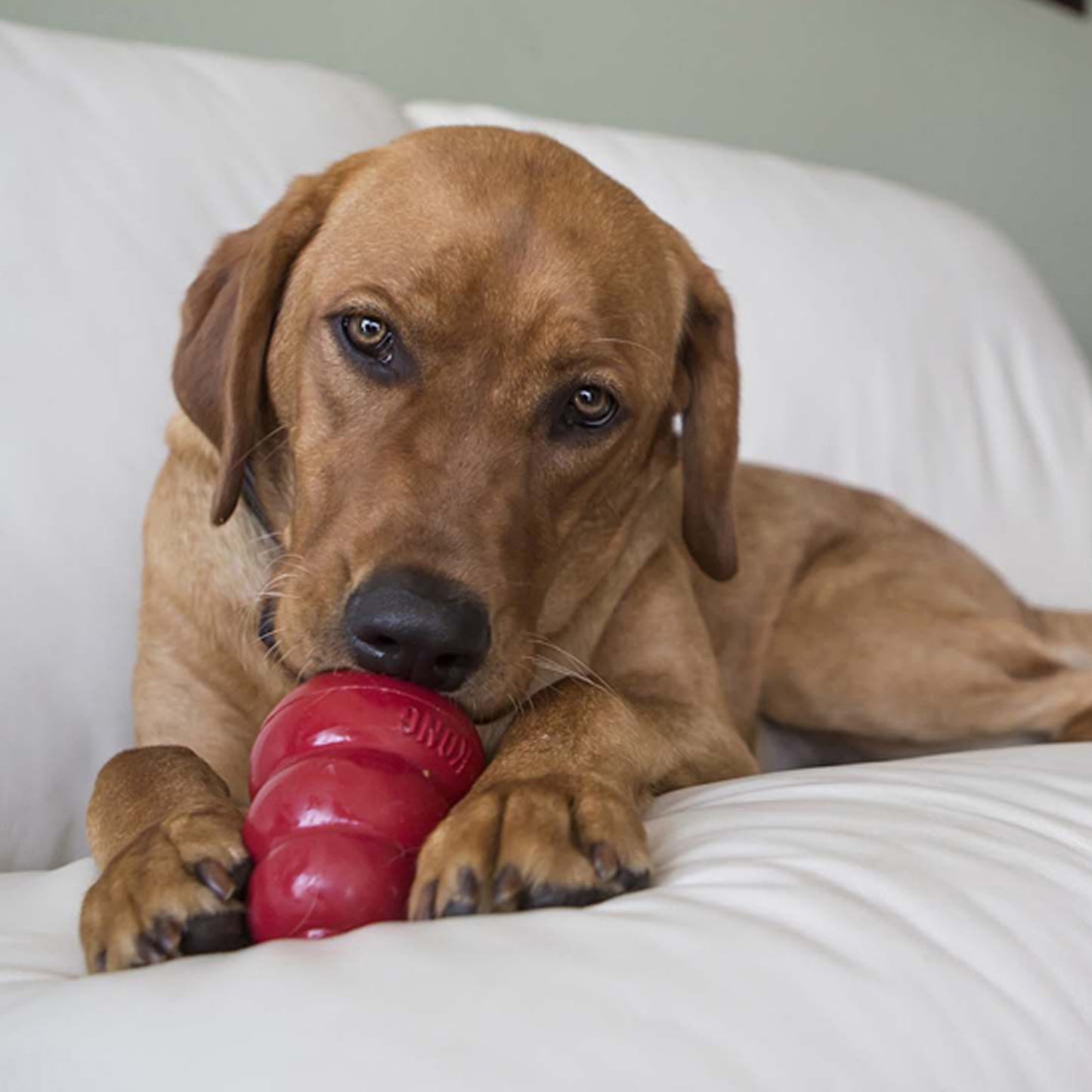 Kong snacks peanut butter
