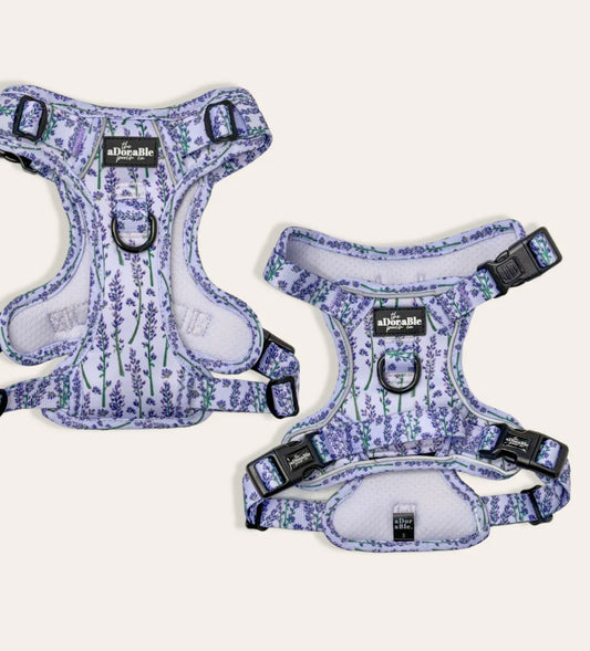 Lavender Haze harness