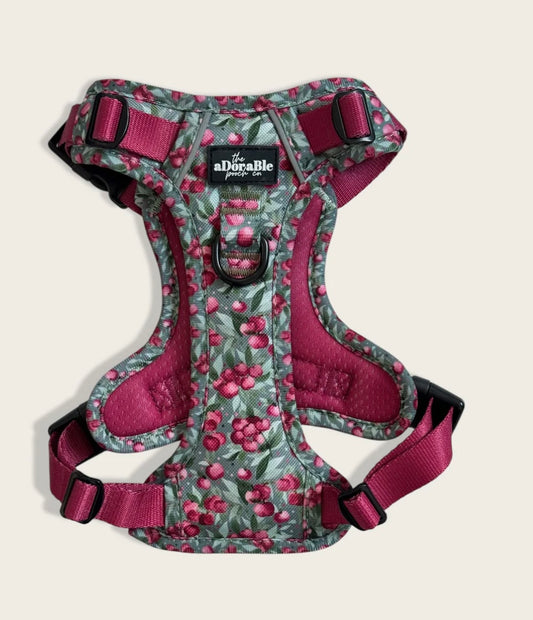 Crab Apple Cottage harness