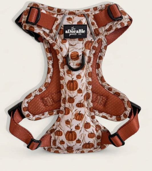 Pumpkin Farm harness