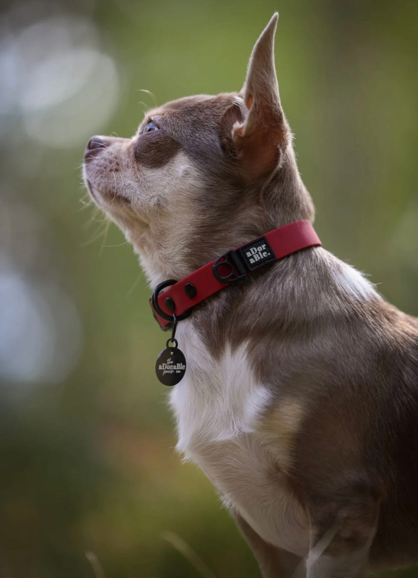 Hydroflex waterproof collar Mulberry