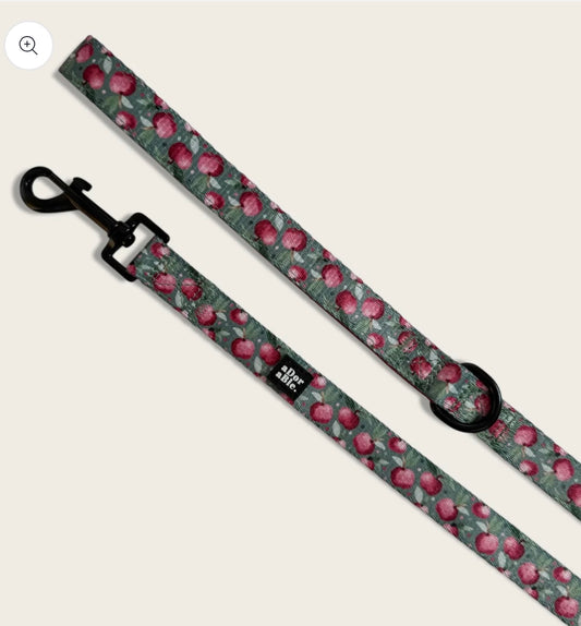 Crab Apple Cottage lead