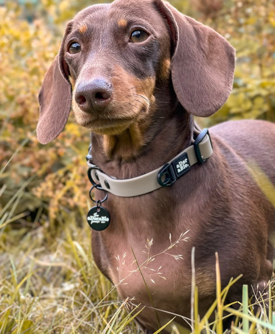 Hydroflex waterproof collar Stone