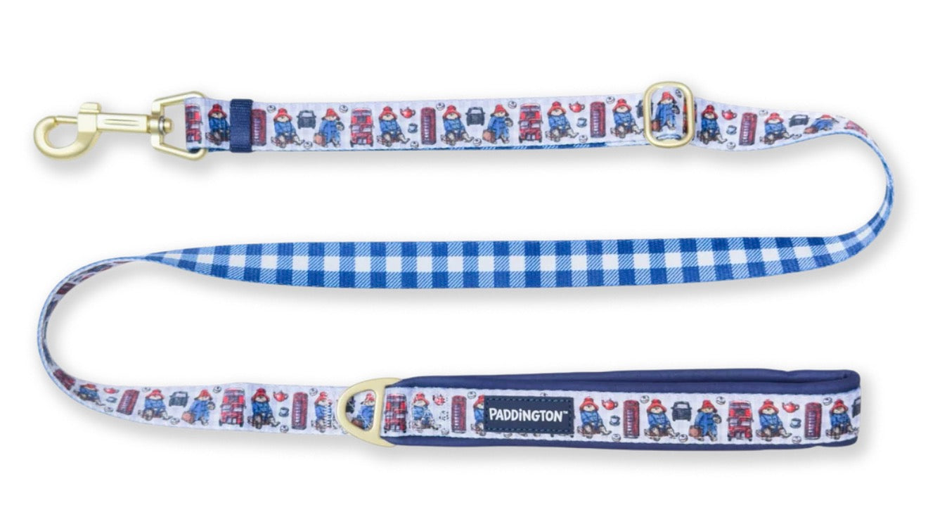 Paddington Bear Lead