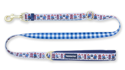 Paddington Bear Lead