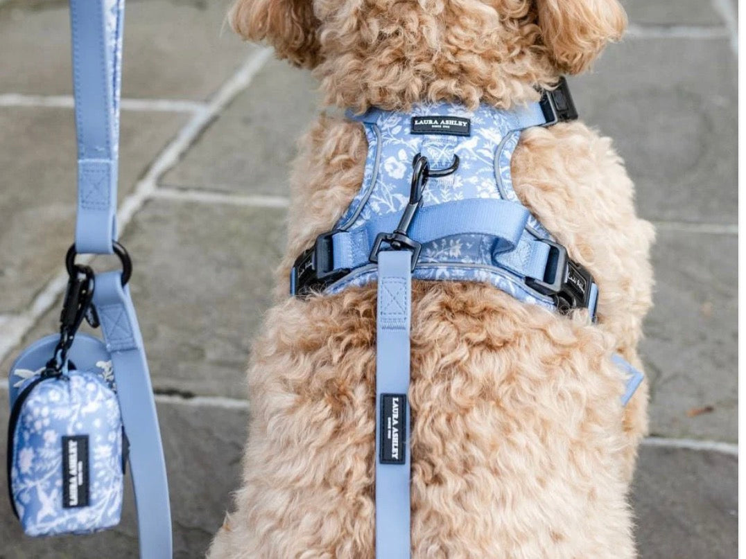 Laura Ashley Shepherd’s Purse Waterproof lead