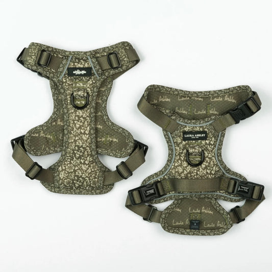 Laura Ashley - Sweet Asylum harness