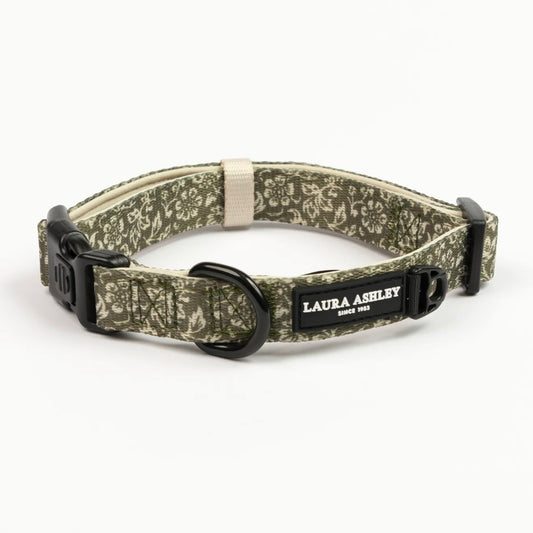 Laura Ashley Sweet Asylum Collar