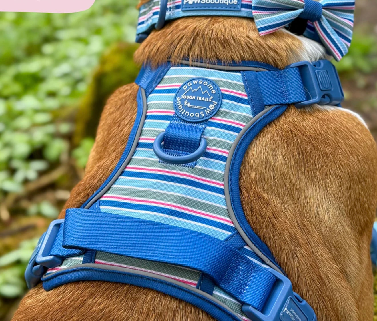 Sailor Stripes harness