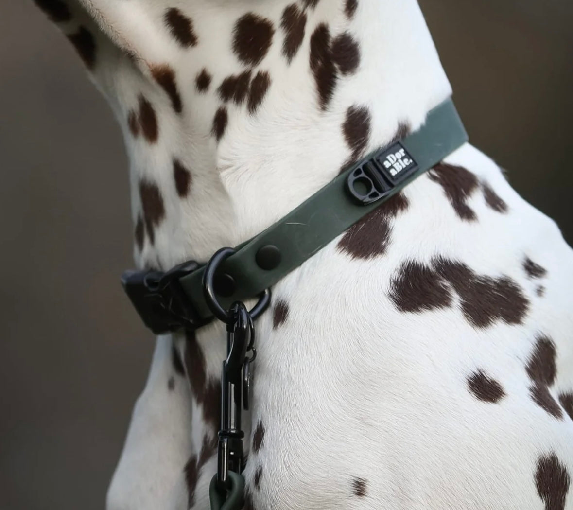 Hydroflex waterproof collar Evergreen