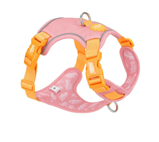 Little ginger control harness Tutti-fruity