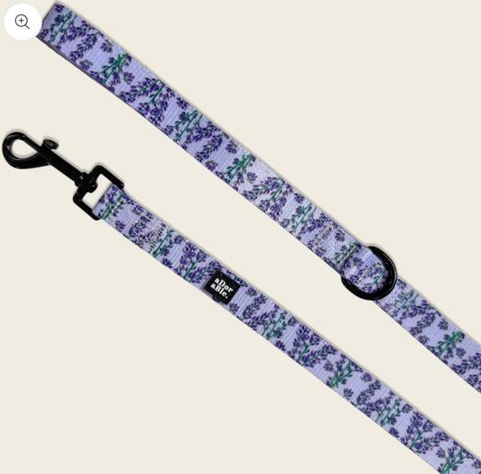 Lavender Haze lead