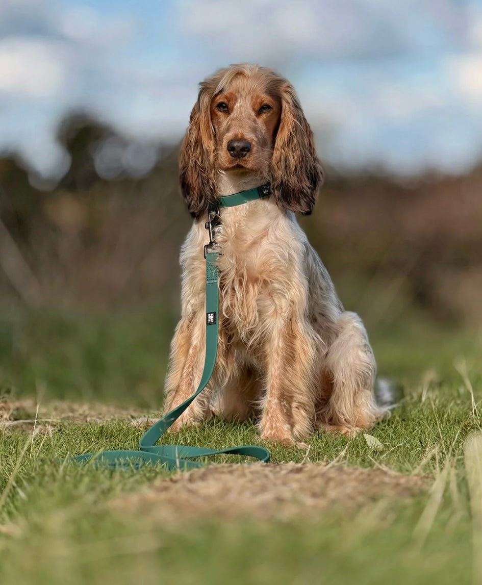 Hydroflex waterproof collar Pheasant green