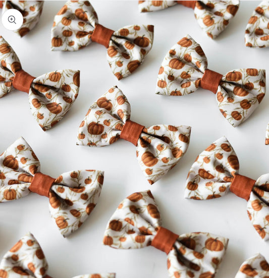 Pumpkin farm bow tie