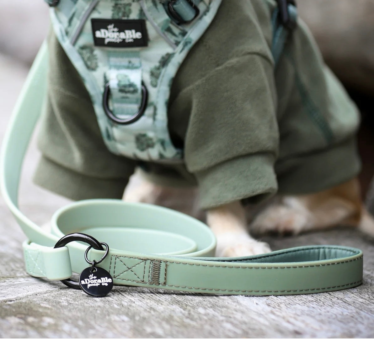 Hydroflex Lead Sage green