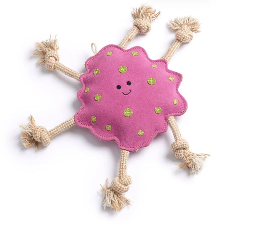 Splat, eco dog toy