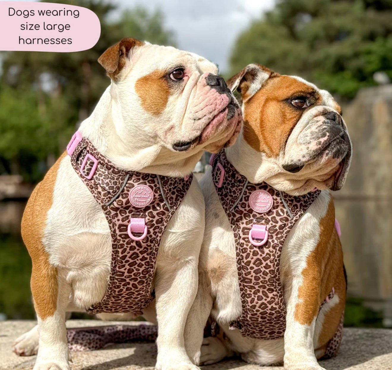 Leopard print Harness