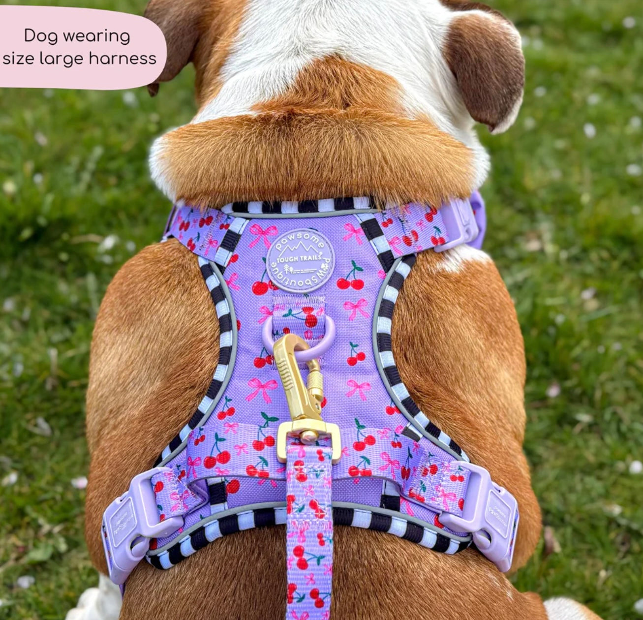 Cherry bomb harness