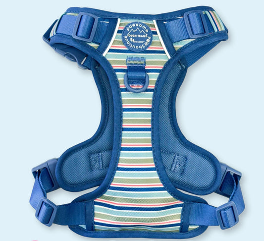 Sailor Stripes harness