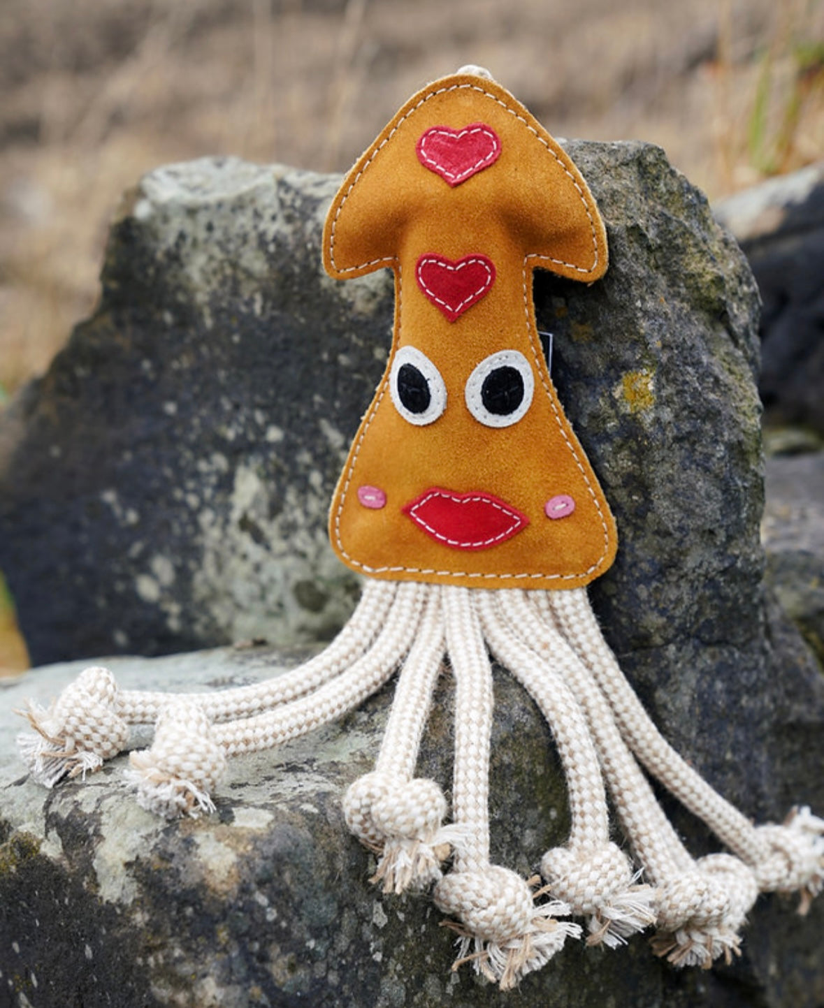 Karen the squid