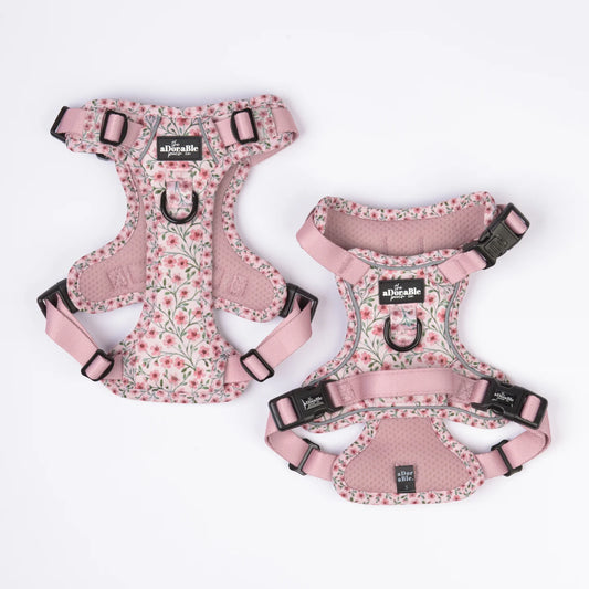 Blushing blossoms harness