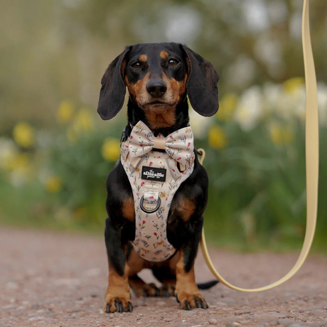 Spring garden harness
