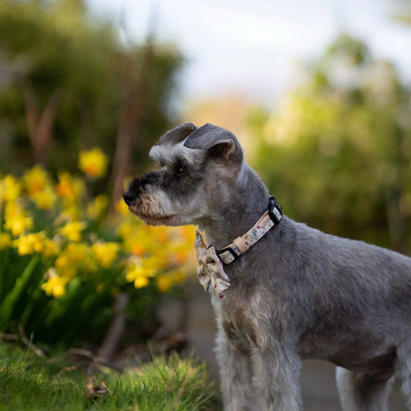 Spring Garden collar