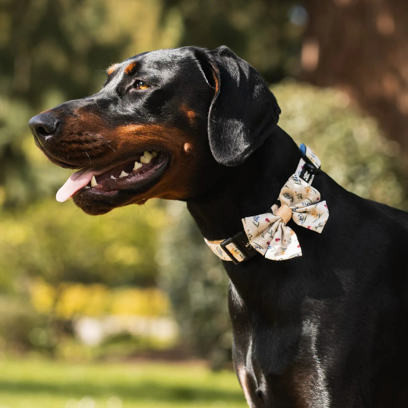 Spring Garden sailor bow
