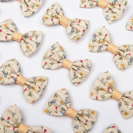 Spring Garden bow tie