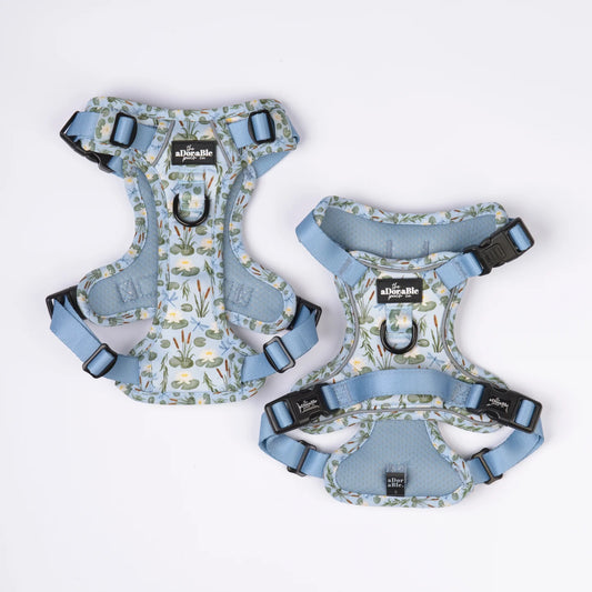 Willow Waters harness