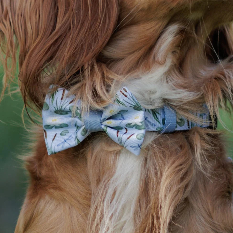 Willow Waters bow tie