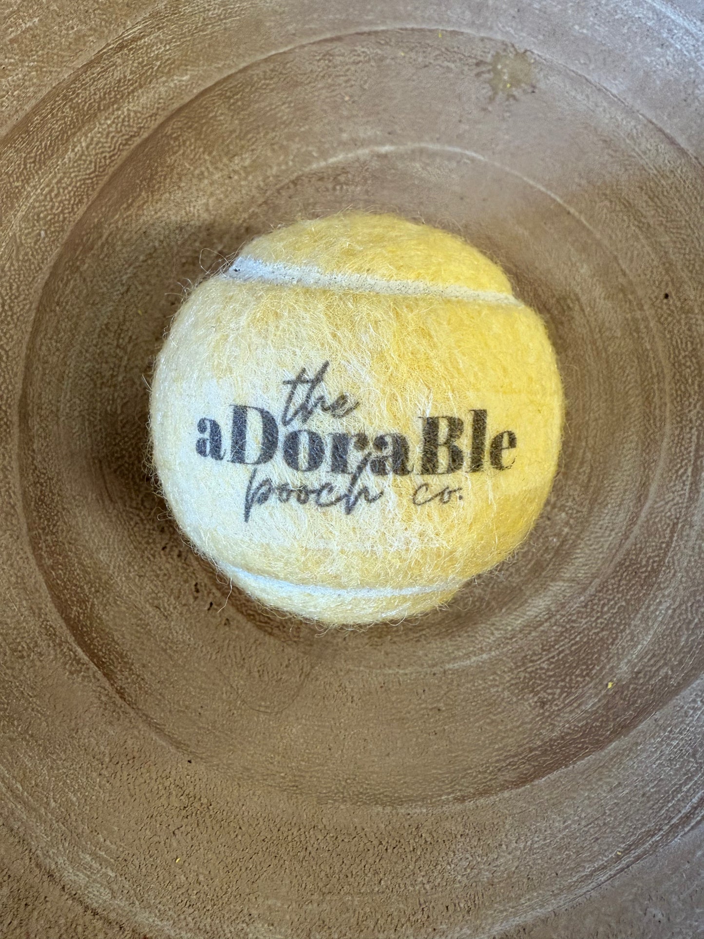 Adorable pooch tennis ball