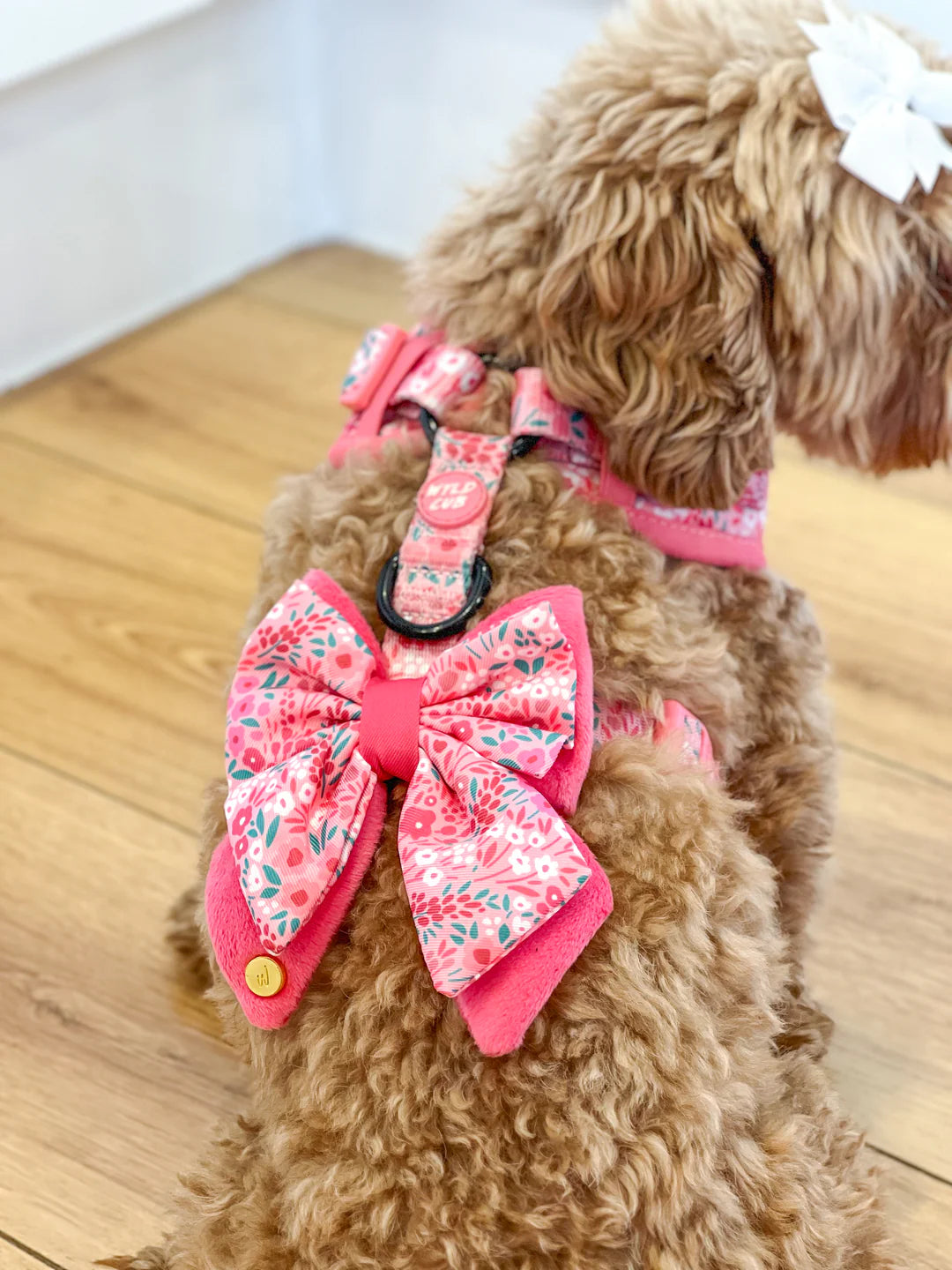 Notting Hill Rose butterfly bow