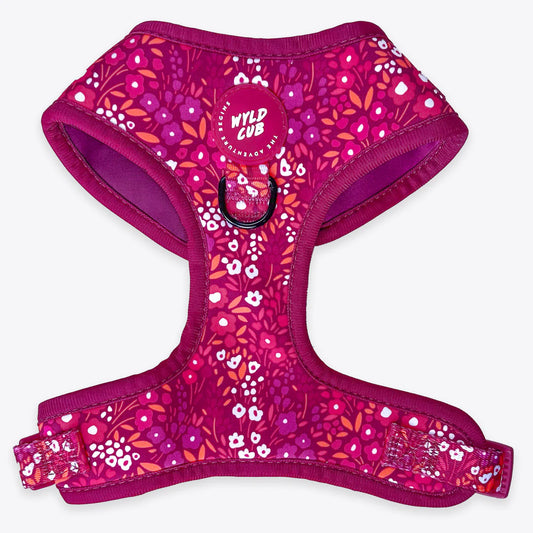 Notting Hill Raspberry Adjustable harness