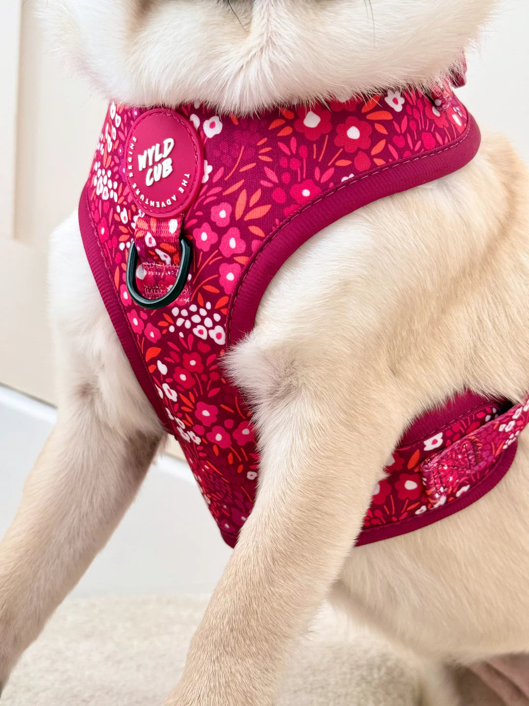 Notting Hill Raspberry Adjustable harness