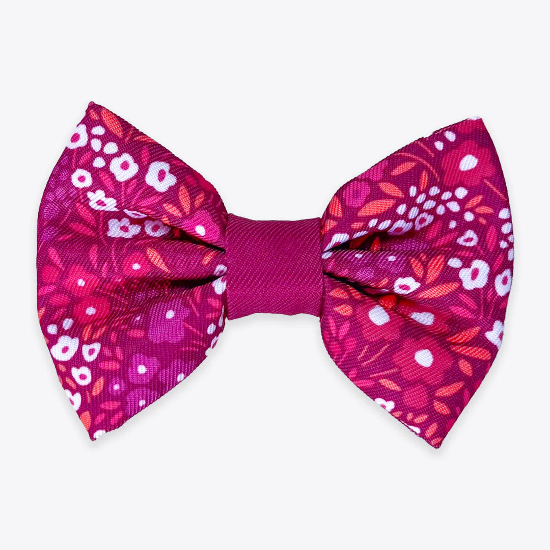 Notting Hill Raspberry bow tie