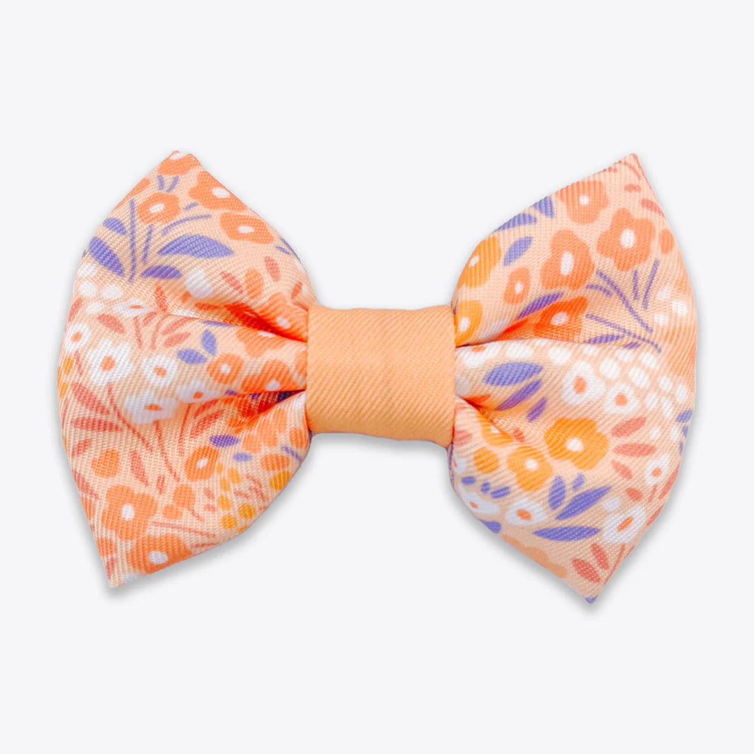 Notting Hill Buttercup bow tie