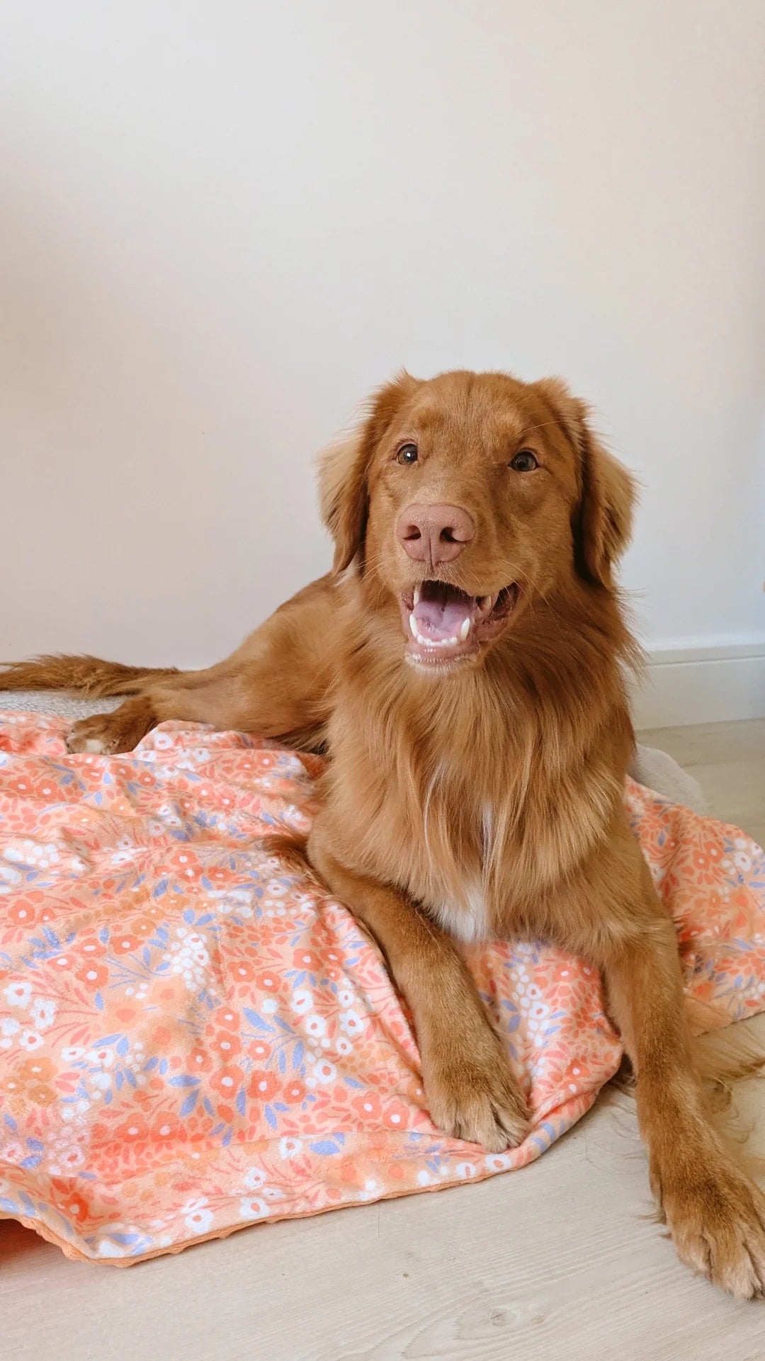 Notting Hill Buttercup blanket