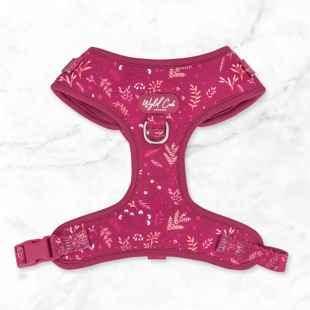 Chiswick Dragonfruit Adjustable harness