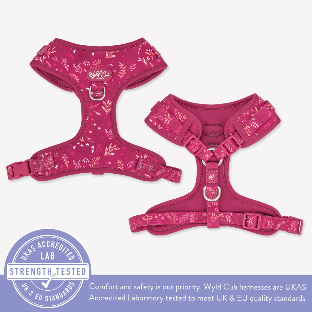 Chiswick Dragonfruit Adjustable harness