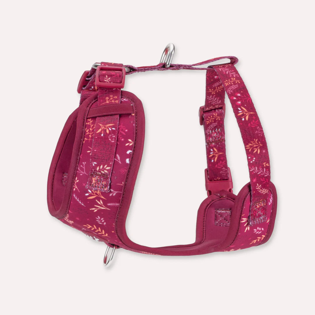 Chiswick Dragonfruit Adjustable harness