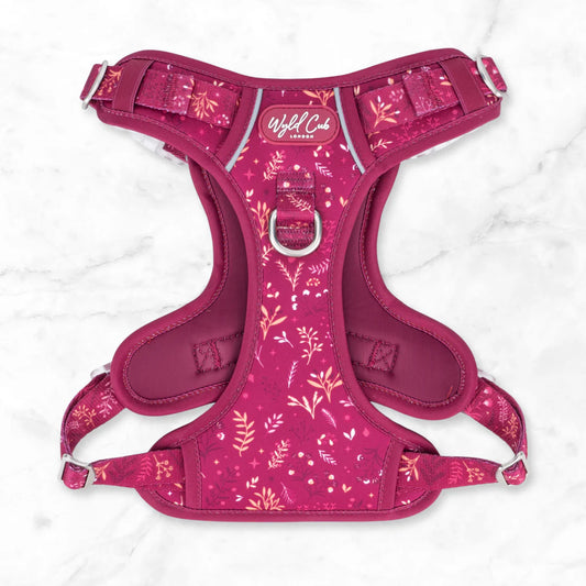 Chiswick Dragonfruit Step and Switch Harness
