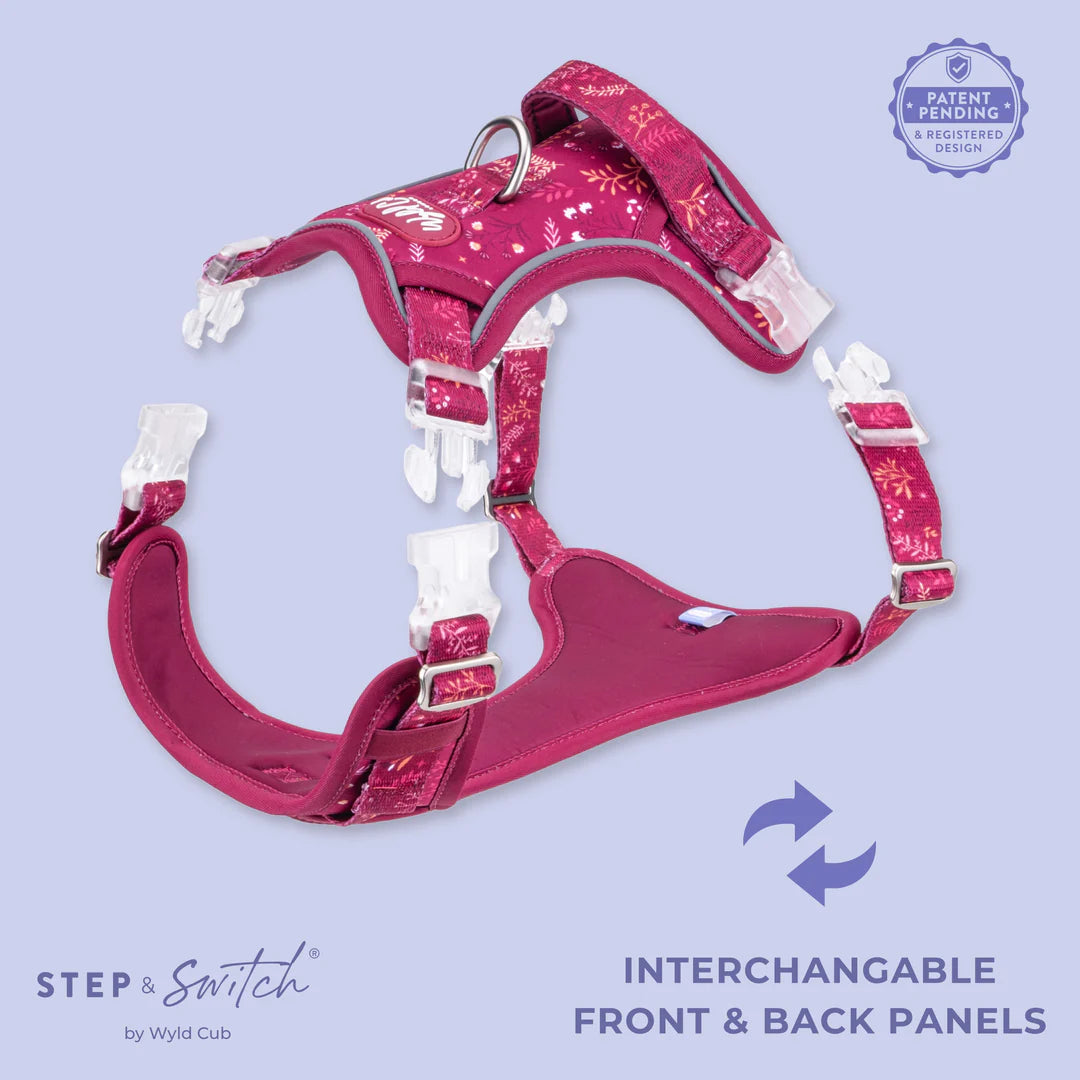 Chiswick Dragonfruit Step and Switch Harness