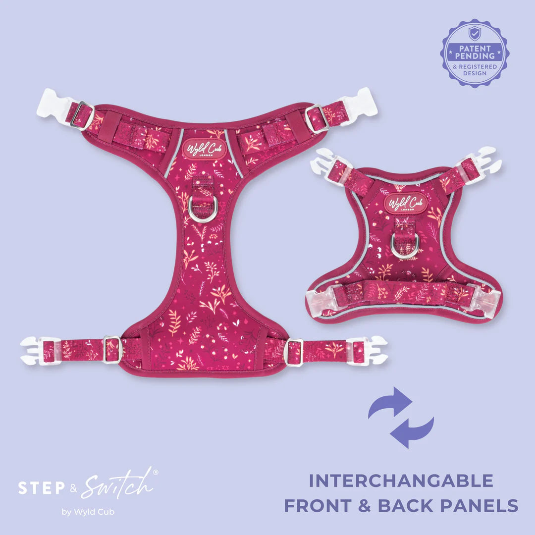 Chiswick Dragonfruit Step and Switch Harness