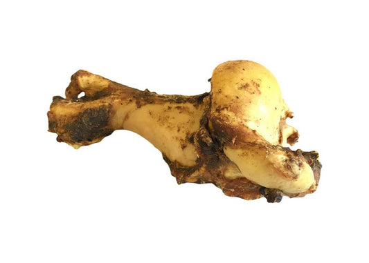 Beef whole bone