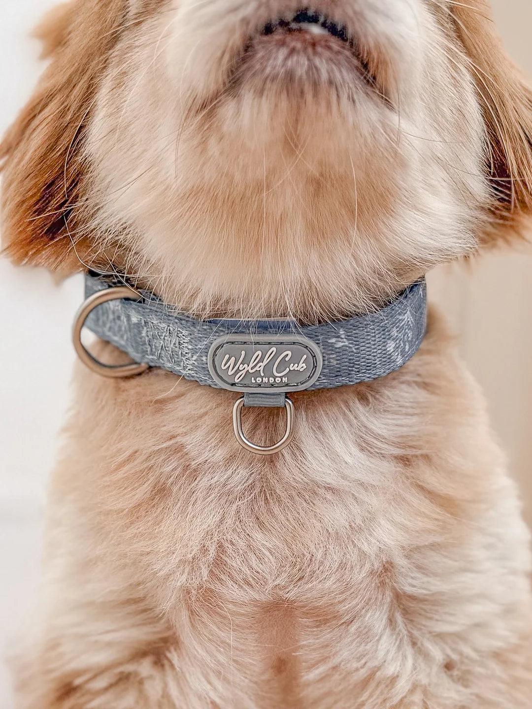 Chiswick Dovetail Collar