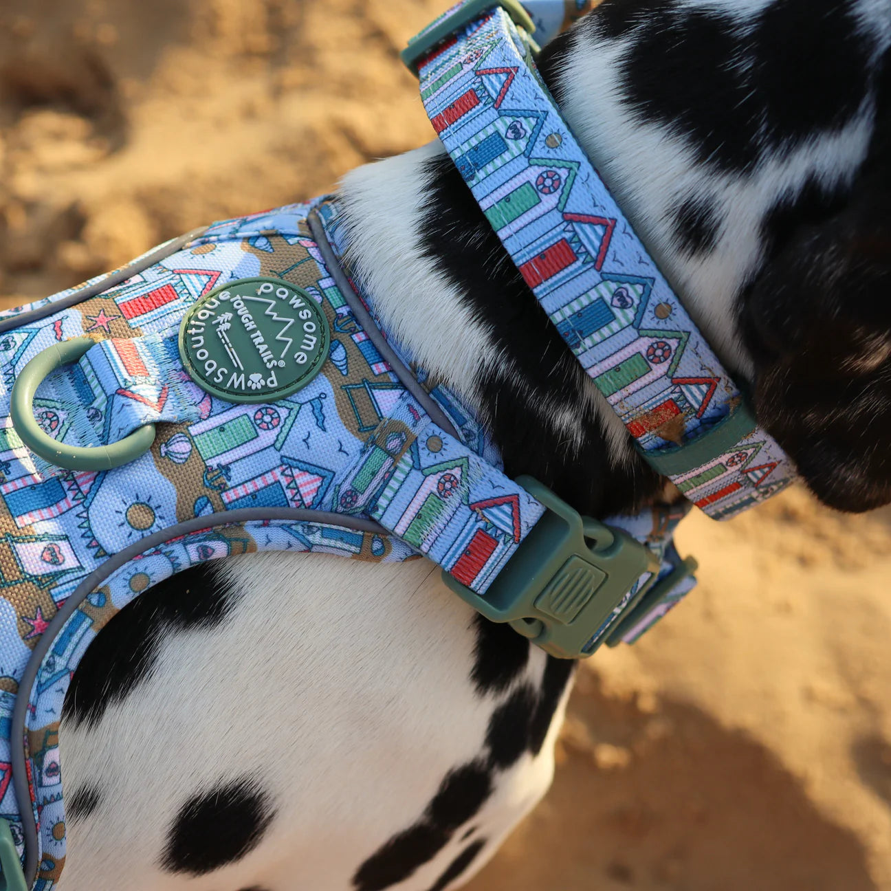 Sandy shores collar