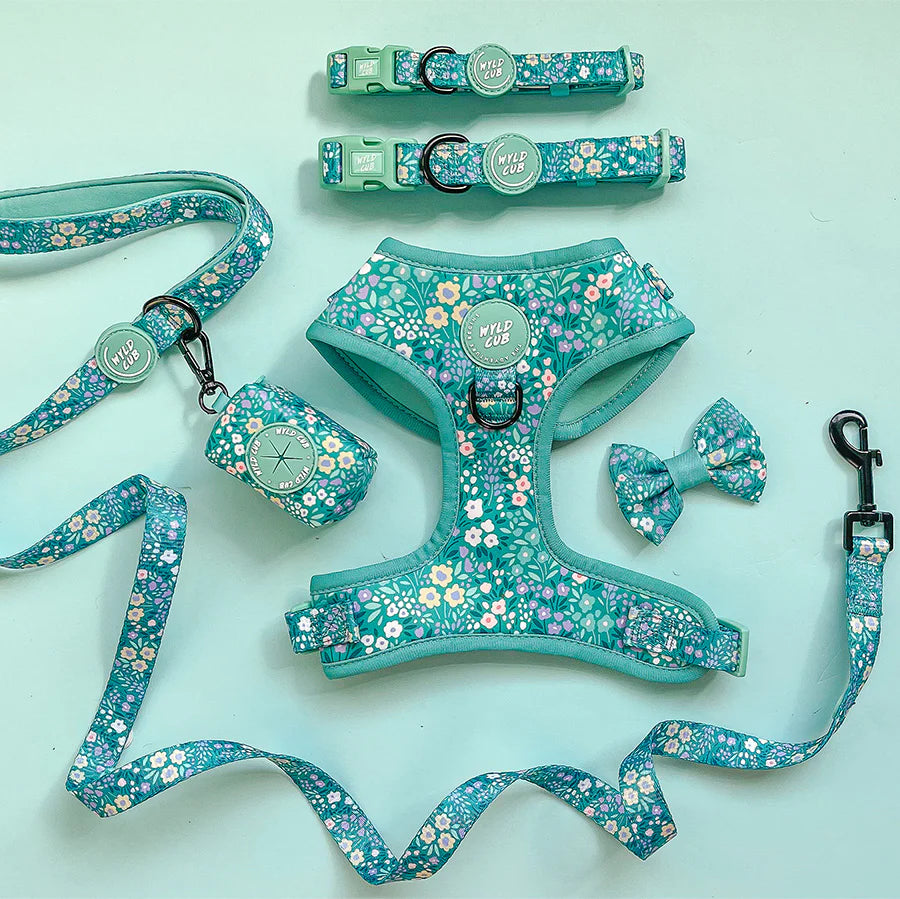Notting hill- Mint harness