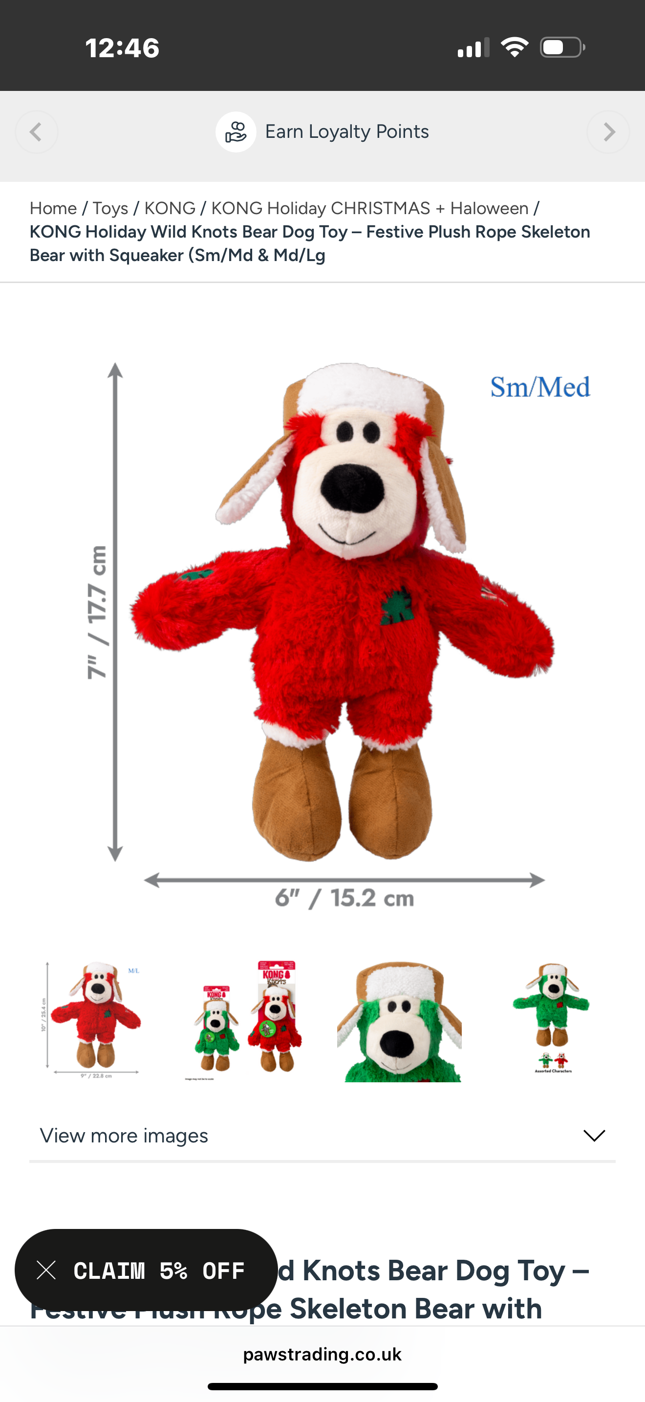 Kong wild knots Bear sml/med